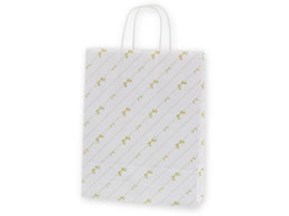 wCR[  25`[obO MS1 ΐ{ 50 003276861