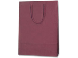 wCR[  J[`[obO 2 GW 10 005310113