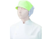 KAZEN WLD/�l�b�g�t���L���b�v �~���g�O���[�� 2���~2��/APK484-2