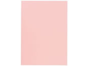 WCebNX/J[}`y[p[ A4  500 A161J-4