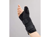 �V�O�}�b�N�X/�n�C�u���b�h�V�[�l�T���X�p�C�J ��L 198613