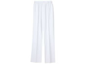 �i�K�C���[�x��/���q�p���c �X�N���u�p���c 24-4241-02 LX-4003(L)�z���C�g