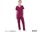 Healing Hands/�X�N���u�p���c TAMARA L ���C��