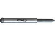  pCbgsB1 07025 NO.07025
