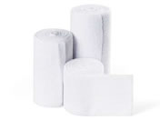 ���{�q��/�n�C���b�`�^�C�ES 2�� NE-392(10�J���C��)