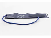 �A�Y����/�����[�U�u�������v�J�t ���l�p(��)20.5�`28.5cm