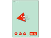 ���剮/�J���[�y�[�p�[������ A4 �� 50��/�i-3411