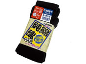 �����ӂ����/���ȍ� 5�{�w 4���g