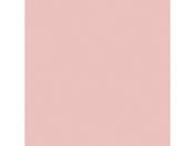 �剤����/�Đ��F��p�� 4�c��10�� �������� CUD