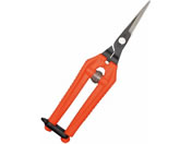 �ߐ�/�E���g�����C�g/TP-530