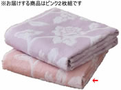 t@~[ECt/Y[Y oX^I sN 2/a2874910