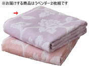 t@~[ECt/Y[Y oX^I x_[ 2/a2874920