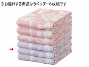 t@~[ECt/Y[Y tFCX^I x_[6/a2874820