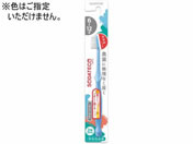 TX^[/\_eR ǂnuV 6-12˗p 1{