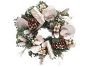 YDM  20cmO}X[X05 CBDTW-065