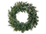 YDM  60cmJo[hpC[X CAE-154