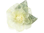 A[ebN/RT[W [Xt[ CG[/118865