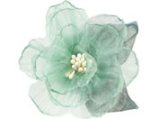 A[ebN/RT[W [Xt[ O[/118866