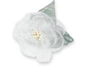 A[ebN/RT[W [Xt[ zCg/118867