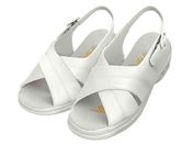 AY/p[tFNgi[X(i[XV[Y)NXoh zCg/25.0~25.5cm/PN00200