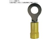 XgOz[h/rj[≏핢t[q ی` dTCY:AWG8/8sq tlW:M8 25 EV8-56R-Q EV8-56R-Q
