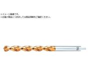 OSG/S[hh ʉHpO^ na10mm 8592100 EX-GDXL-10X200X120 8592100