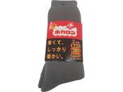 t/amzJ N[䑍pCN 2