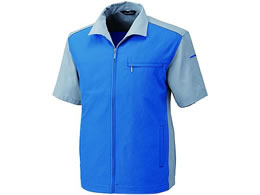 AgR[|[V u](t)u[ BF704-1