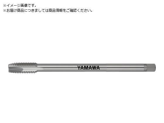 } O|Cg^bv LS-PO L100 P3 M10X1.5 LS-PO-100-M10