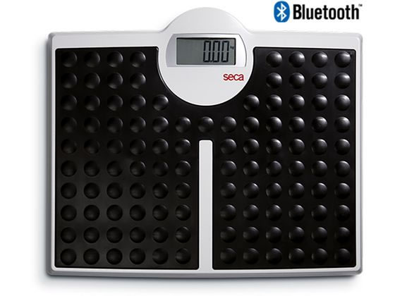 seca �f�W�^���t���b�g�X�P�[�� SECA813BT