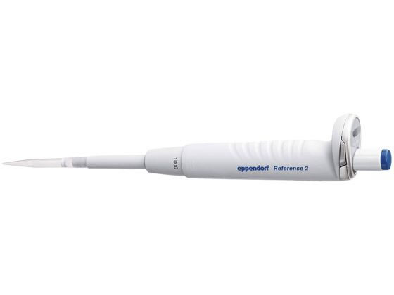 �G�b�y���h���t �G�b�y���h���t ���t�@�����X2 F �}�C�N���s�y�b�g 24-2969-08 4921000154(1000UL)�A�I