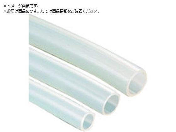 IWATA VR`[u 2m SS02 04-L2