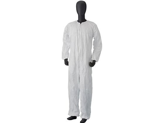 �^�C�x�b�N�A�C�\�N���[������ �h�앞 24-6154-01 ���E�f���|���t���b�V���X�p���v���_�N�c IC253CS(M)25�}�C�C��