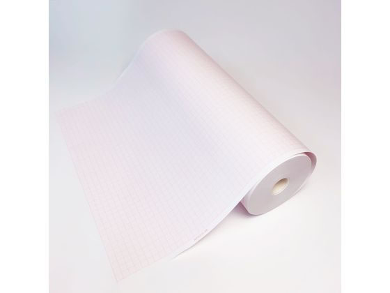 ���΂� �S�d�}�p�L�^��(���[��)�\���� 25-5975-06 NRS216-6B(10�J��)