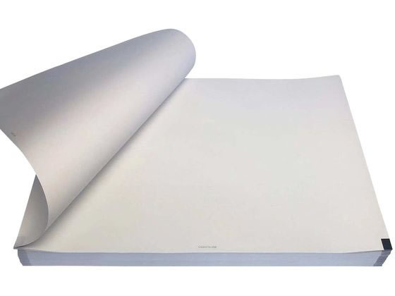 ���΂� �S�d�}�p�L�^�� 25-3868-08 CQW210-10-295(5�T�c)