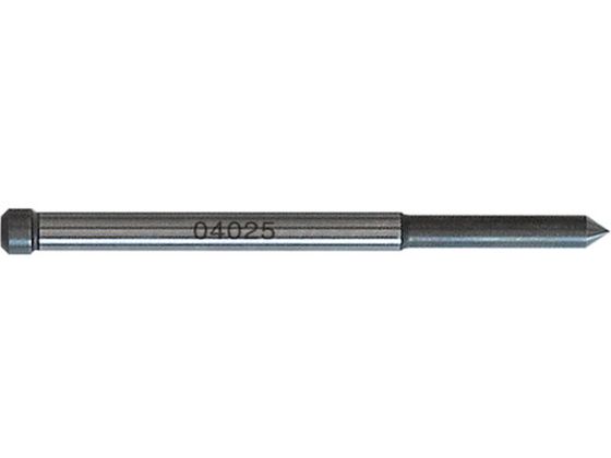  pCbgs 04025 NO.04025