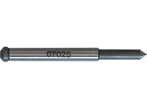  pCbgsB1 07025 NO.07025