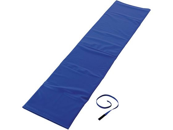 �A�Y���� �炭�炭�ڏ�V�[�g �{�[�h�^�C�v(�S�g�p) 7-3564-03