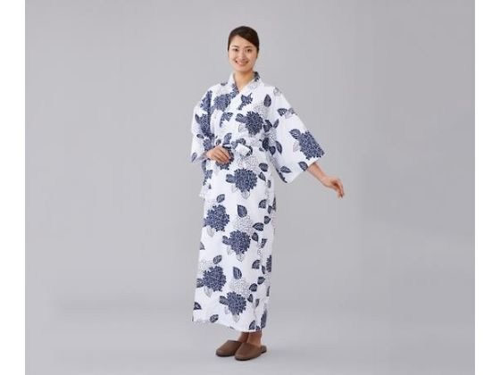 �I�I�T�L���f�B�J�� �K�[�[�Q�� �����pLL 8-6551-04