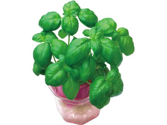 A[ebN oW 0.5mL  102989