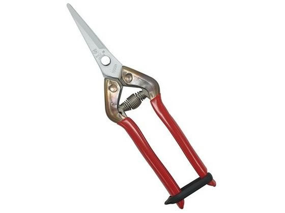 �ߐ� �X�e�����X�R���� BP T-55SKF