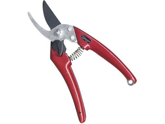 �T�{�e�� ���f�B�[�X������ �t�b�f 180mm