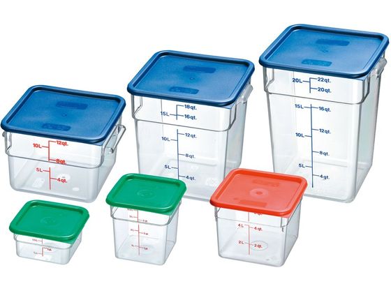 CAMBRO p^t[hRei[pJo[ SFC6 bh