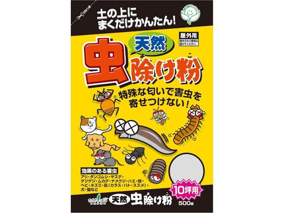 �g���`���[ �V�R �������� #217224