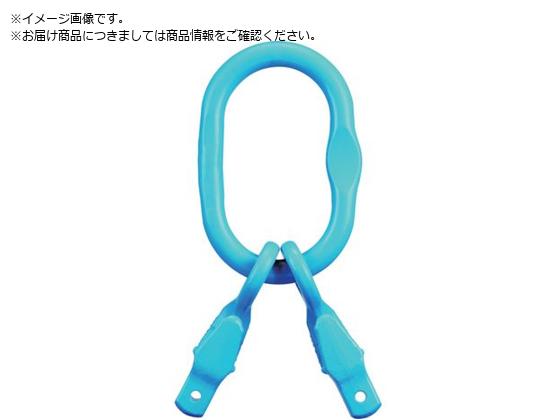 YOKE G-100 `F[߃TuNt}X^[NGrabEX