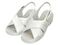 AY/p[tFNgi[X(i[XV[Y)NXoh zCg/25.0~25.5cm/PN00200