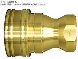 SPJv ^CvA ^イ ӂfSFKM X-100 19122 12P-A BRASS FKM
