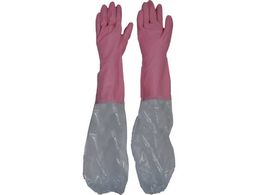 _bv rj[ rJo[t MsN 1546