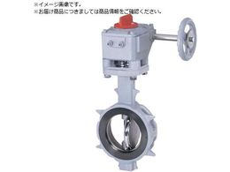 b o^tCou JIS10K 80A 304YA-2U SCS13A SCS13A R-PTFE MA 304YA-2U-80-S-R