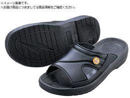 AS AYsAESDXbp  L 4-1204-02